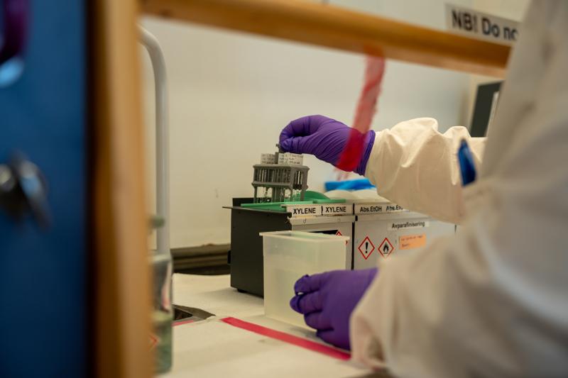 20250526_TumorLab_Karoline Sollid Evensen-04745.jpg
